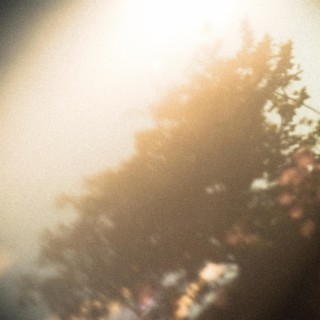Prying Spores cover art