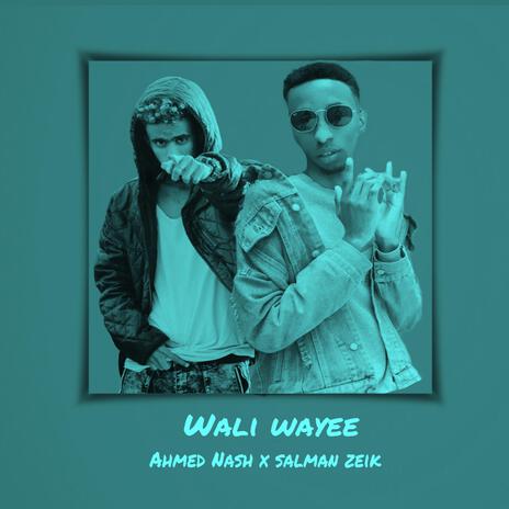 Wali wayee ft. salman zeik cover art