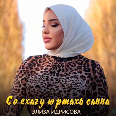 Со ехачу юртахь санна cover art