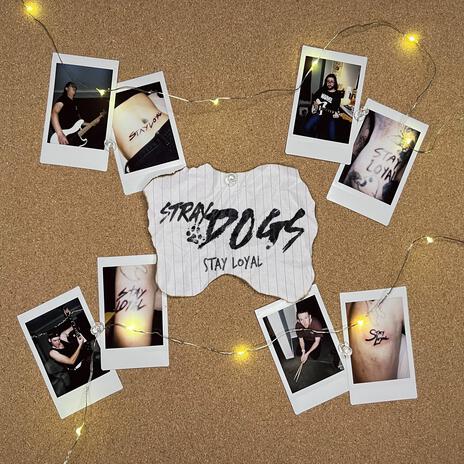 Stray Dogs cover art