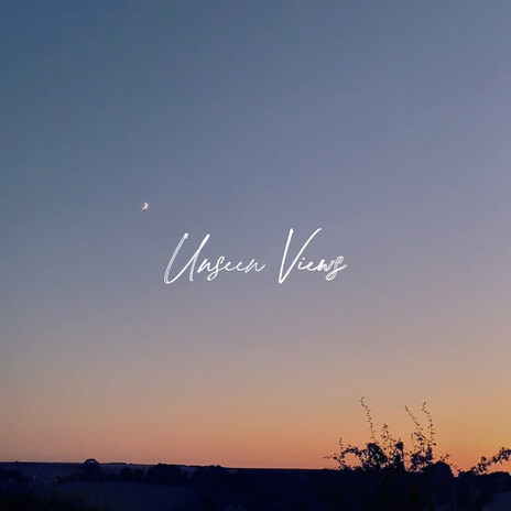 Unseen Views cover art