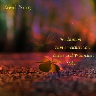 Meditation zum erreichen von Zielen und Wünschen, Vol. 1