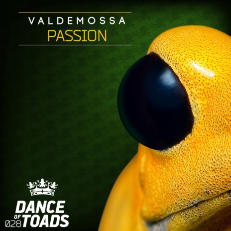 Passion (Original Mix) cover art