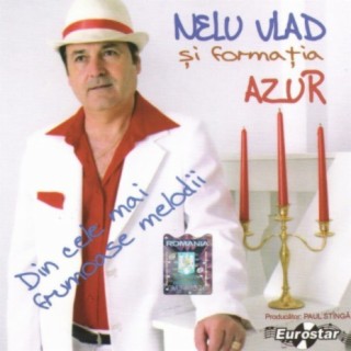 Nelu Vlad