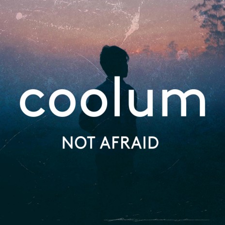 Not Afraid cover art