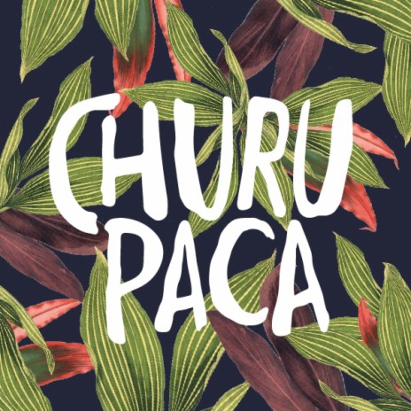 Si Vai pal Sur cover art