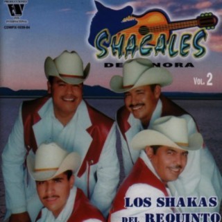 Los Shakas del Requinto