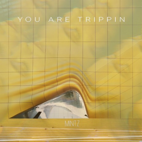 You Are Trippin cover art