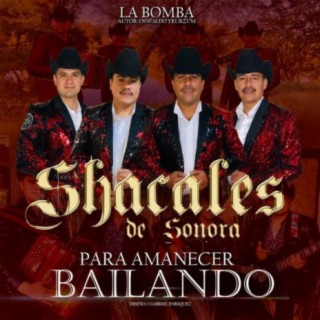 Para Amanecer Bailando