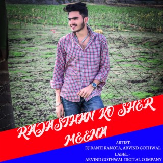 Rajasthan Ko Sher Meena (Rajasthani) ft. Arvind Gothwal cover art