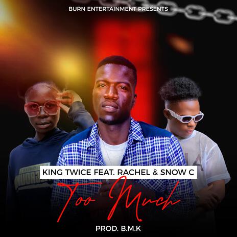 Too Much (feat. Rachel ZM & Snow C) cover art
