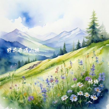 野花开满山坡 cover art