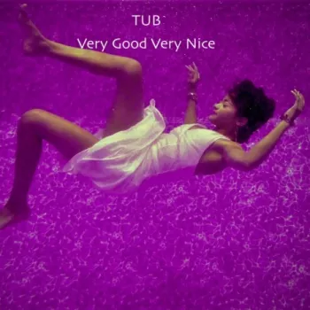 Very Good Very Nice cover art