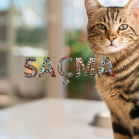 Saçmalık cover art