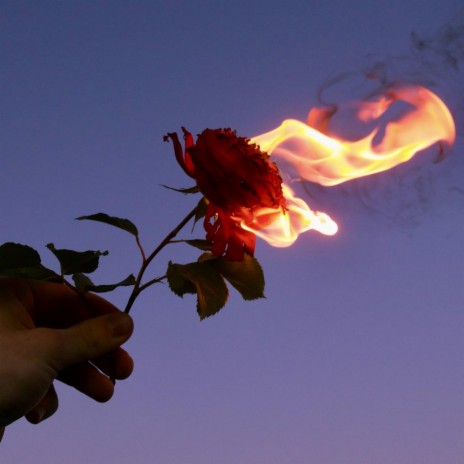 Into The Fire cover art