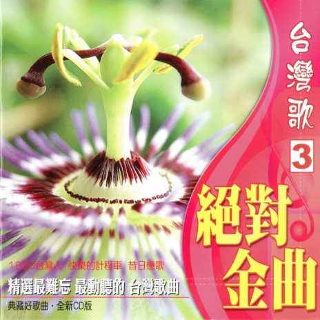 黑白的探戈 cover art