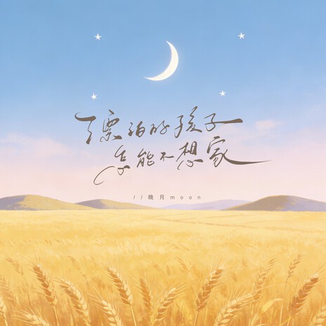 漂泊的孩子怎能不想家 cover art