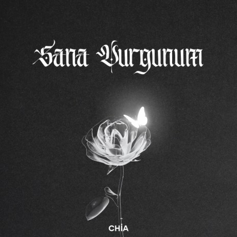 Sana Vurgunum cover art