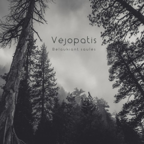 Plauku stygomis cover art
