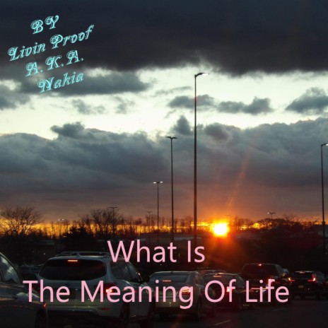 What Is The Meaning Of Life cover art
