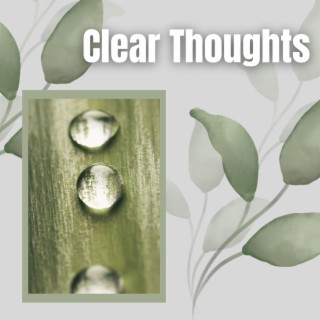 Clear Thoughts: A Tranquil Journey of Soothing Water Sound and Zen Garden Ambience for Ultimate Deep Relaxation and Mindfulness Meditation