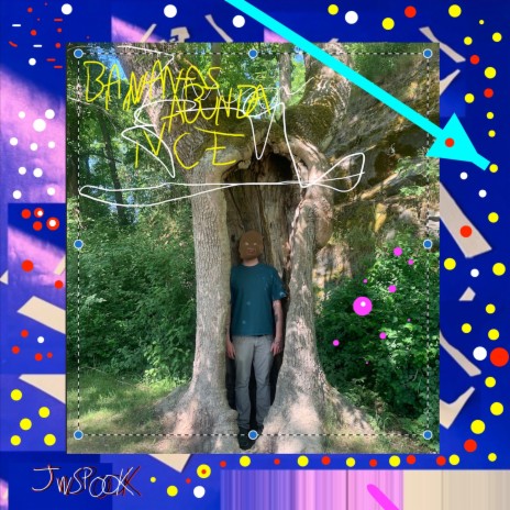 Psychedelic Mango cover art