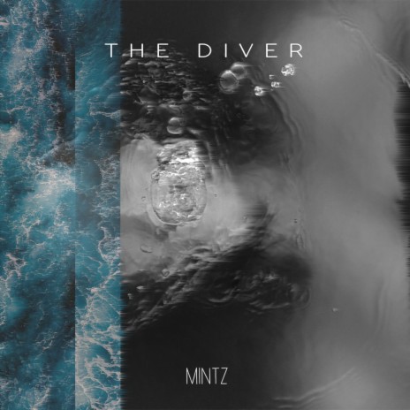 The Diver cover art