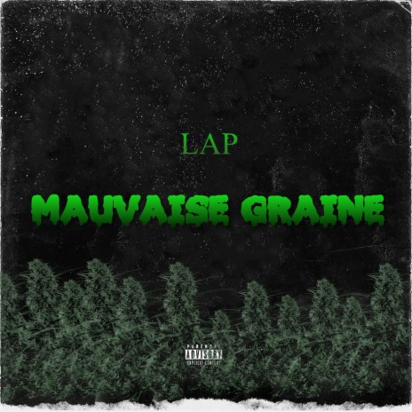 Mauvaise graine cover art