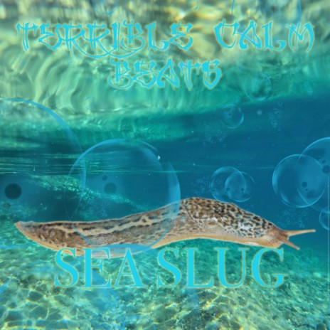 Sea Slug cover art