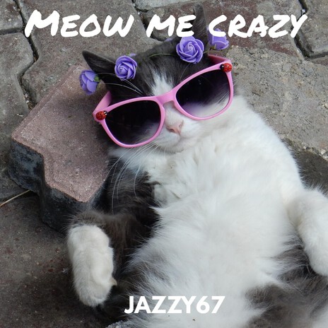 Meow me crazy cover art