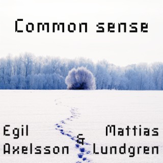 Egil Axelsson