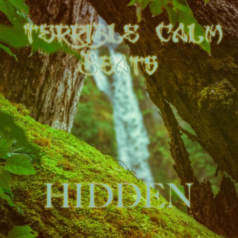 Hidden cover art