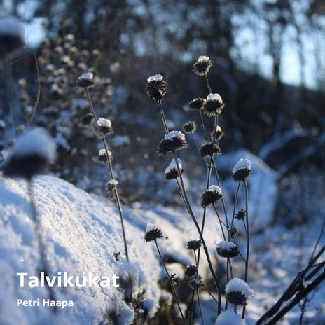 Talvikukat