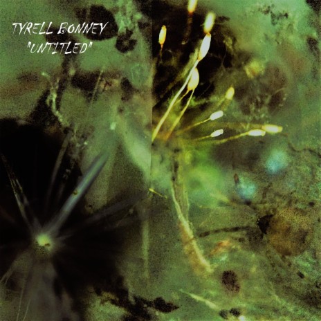 Hazel (dying) cover art