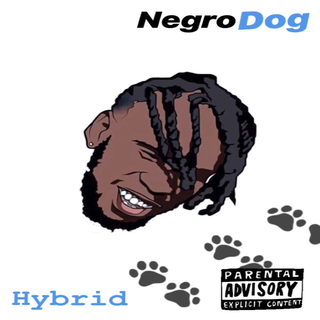 Hybrid