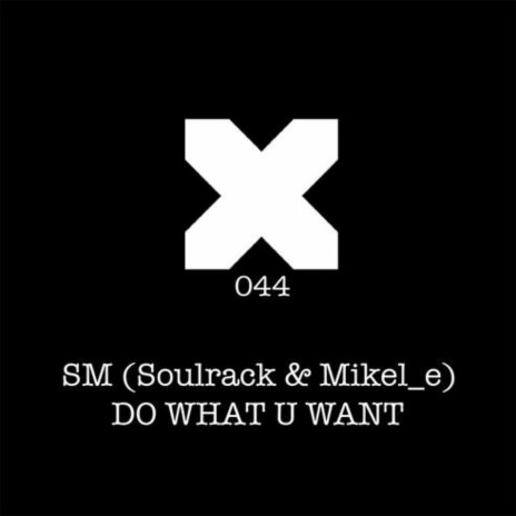 Do What You Want ft. Mikel_e cover art