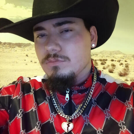 IBR COWBOY cover art