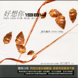 流行歲月系列 歌林10年 好想你1984