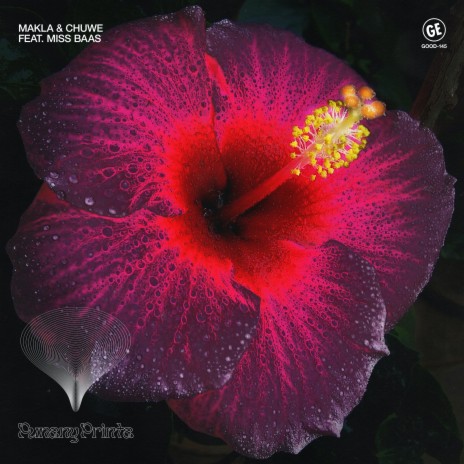Punany Printa ft. Chuwe & Miss Baas cover art