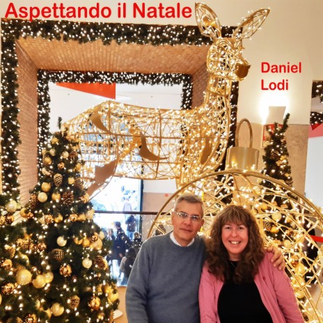 Aspettando Il Natale cover art
