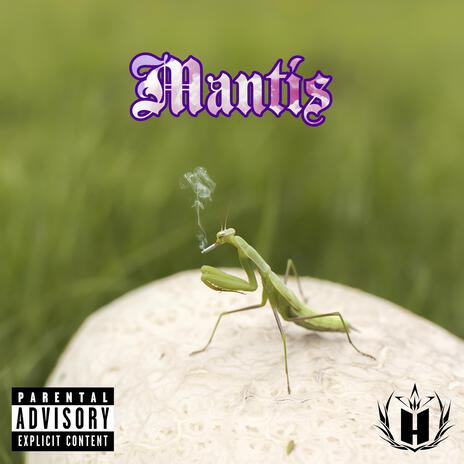 Mantis (Instrumental Rap Hip Hop) cover art
