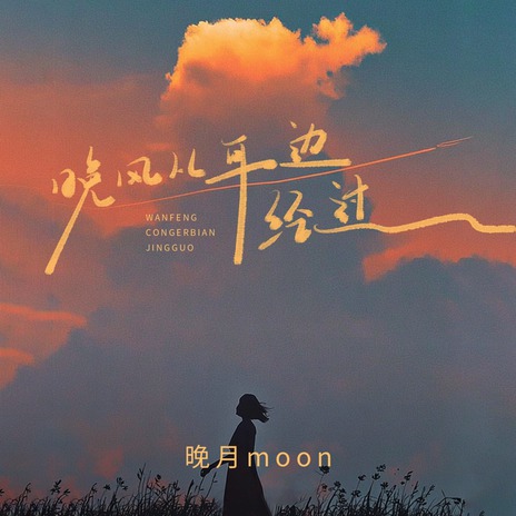晚风从耳边经过 (DJ九零版) cover art