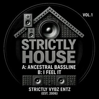Strictly House, Vol. 1