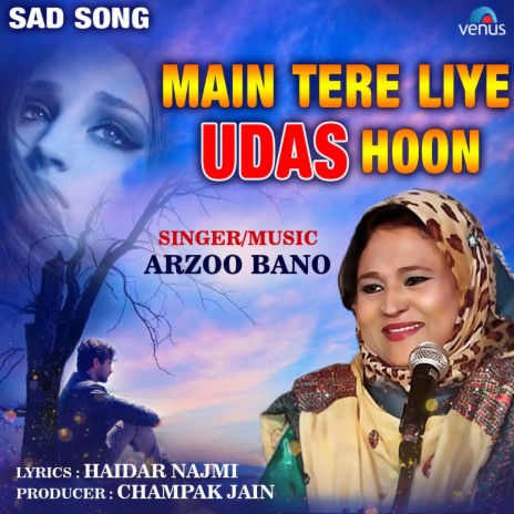 Main Tere Liye Udas Hoon cover art