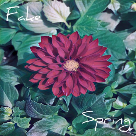 Fake Spring cover art