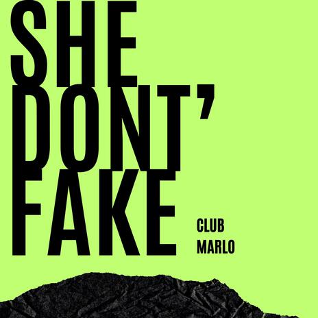 She dont' Fake cover art