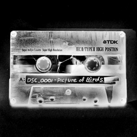 Ps ture rfc_Biodi cover art