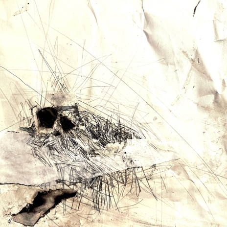 Elceis cover art