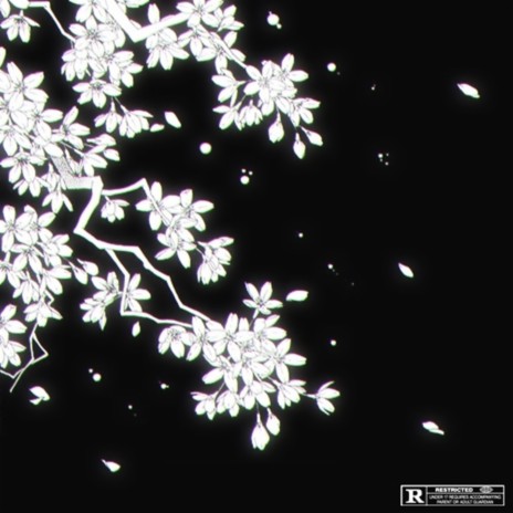 Who cover art