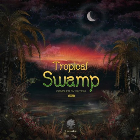 Swamp Shinning (Original Mix) ft. Sutemi cover art